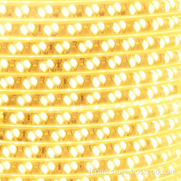 IP65 PVC Cover Double-Row Smart RGB LED Light Strip 5050 SMD 220V